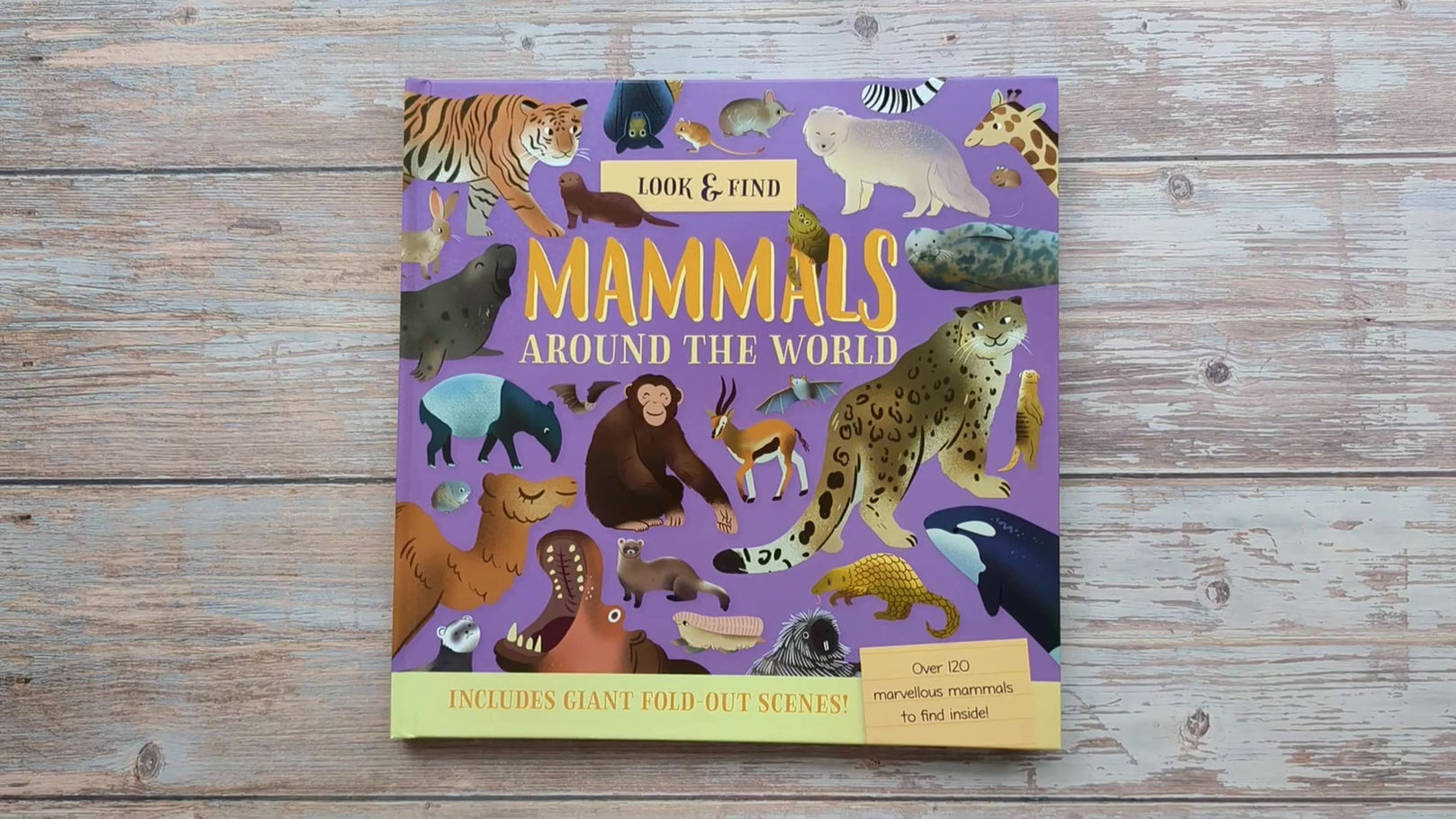 NLFBB03_MAMMALS_VIDEO